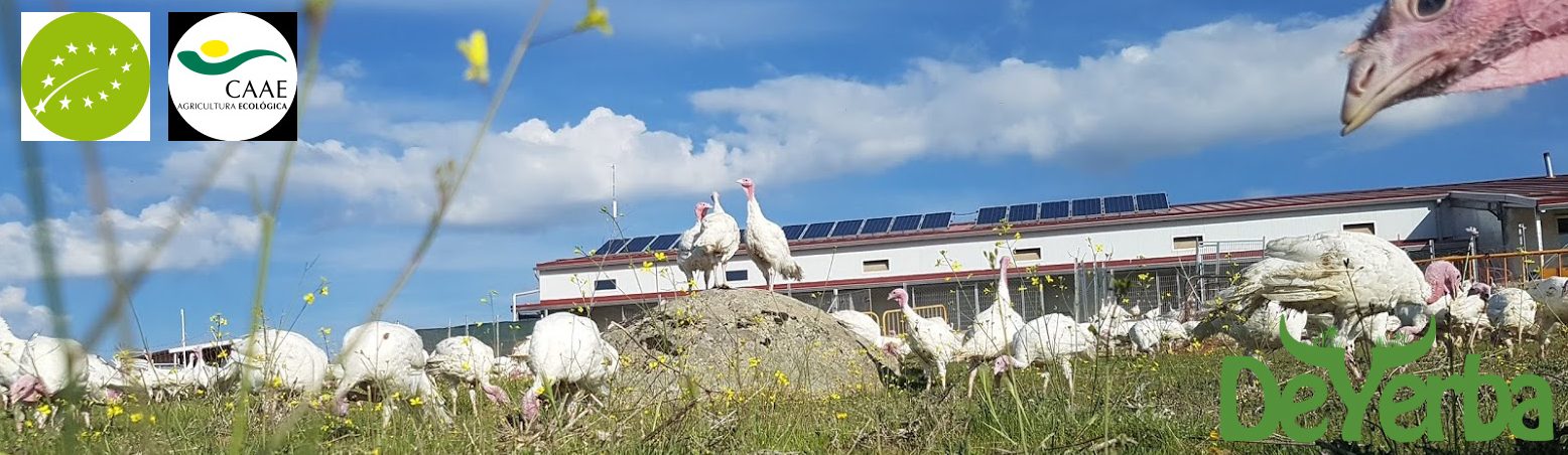 De pavos de muslos imágenes